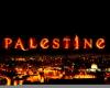   Palestine Rose