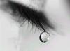   alm7ar